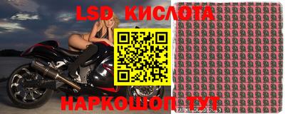 стафф Абинск