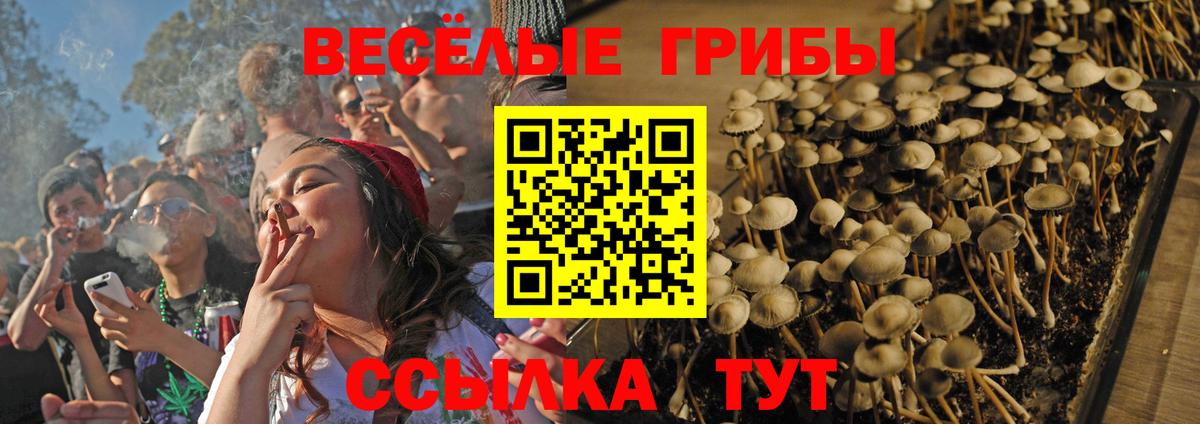 Химки  Галлюциногенные грибы ЛСД  Псилоцибиновые грибы MAGIC MUSHROOMS  Вход с VPN 