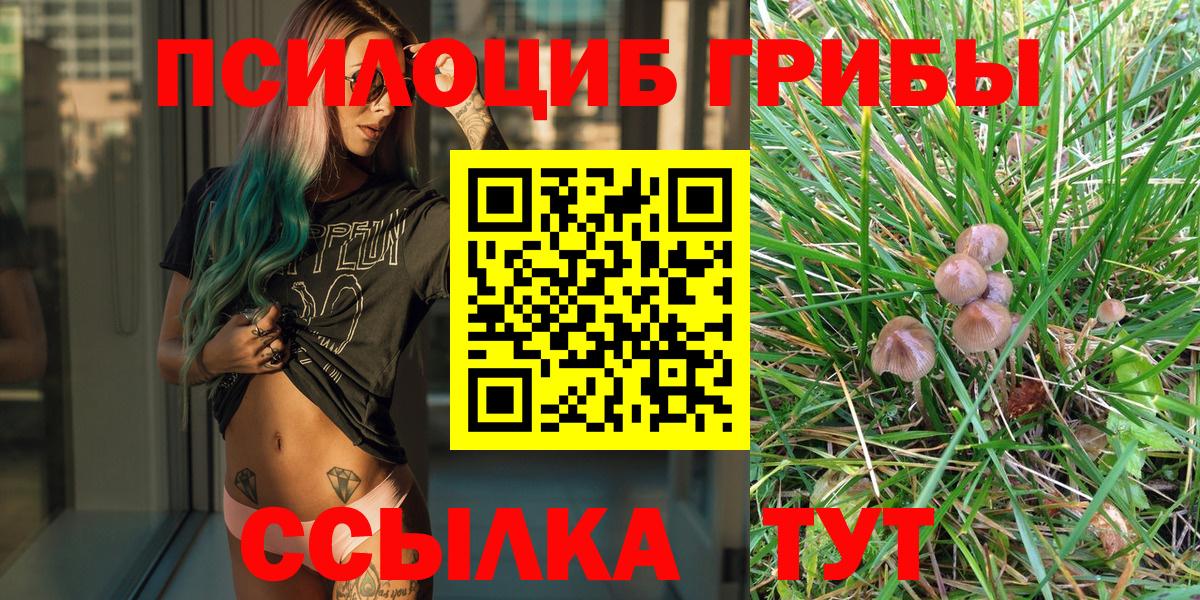 Галлюциногенные грибы прущие грибы Химки