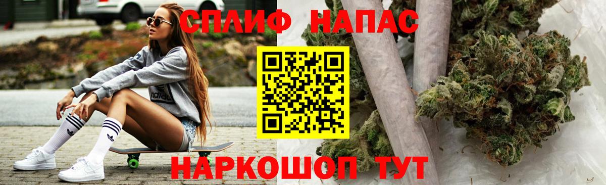 Каннабис план  Бошки Шишки OG Kush  Химки  Бошки Шишки план 